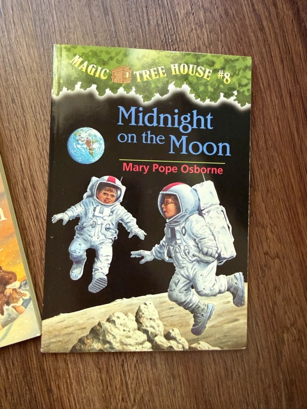 Magic tree house box set - Picture 6 of 6